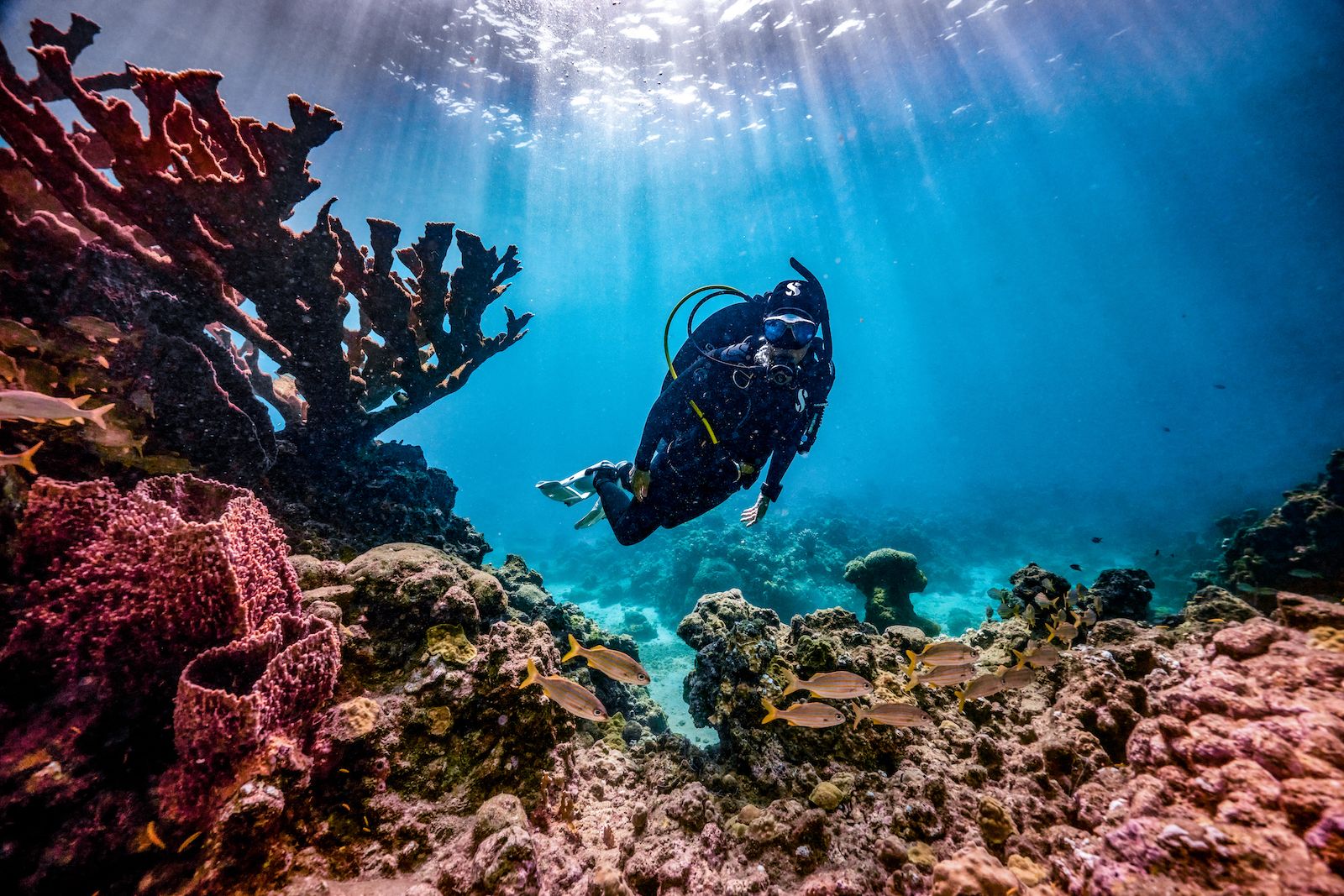 Saint-Lucia---Scuba-Diving---Sandals-Resorts65