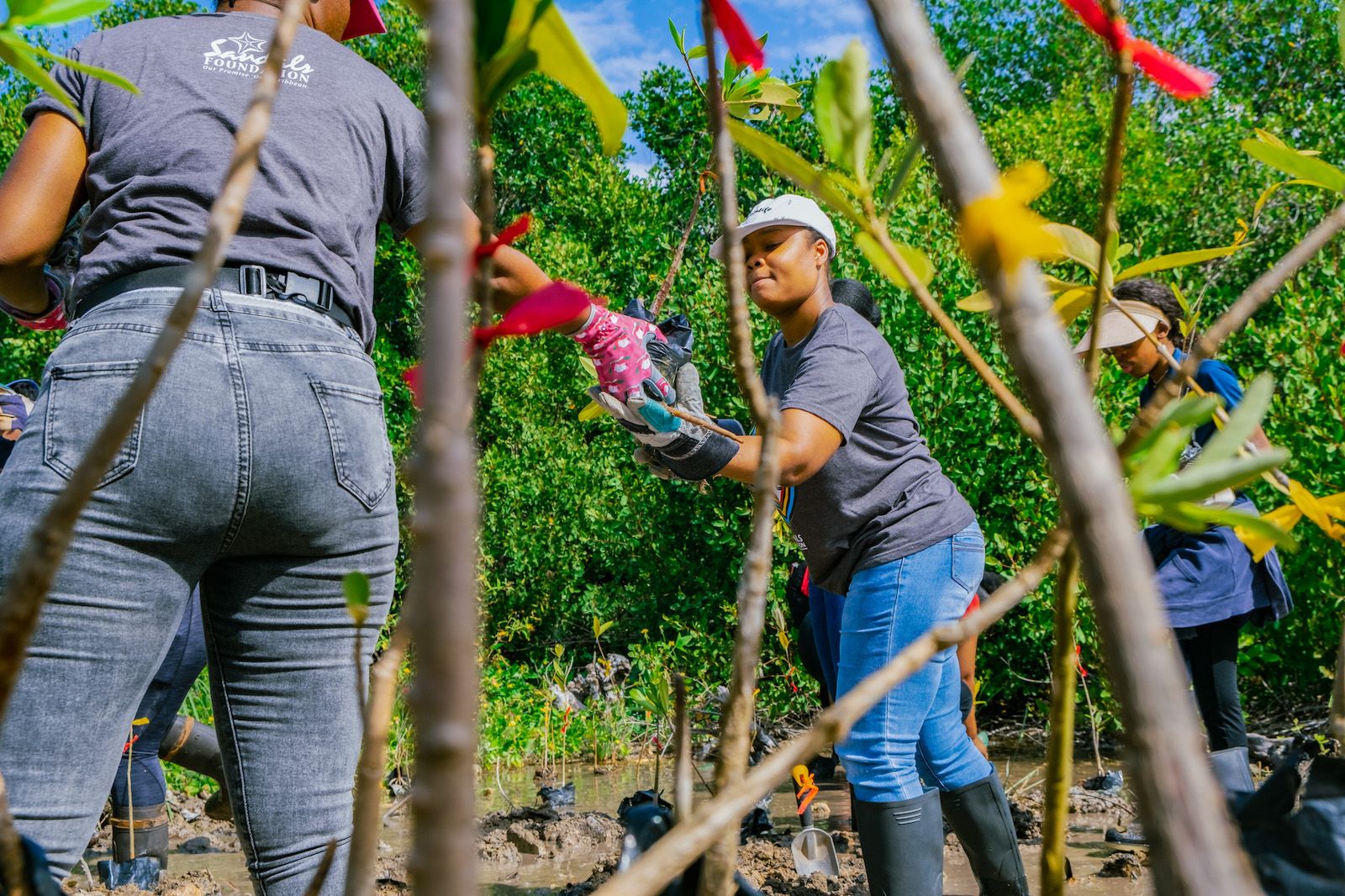 Sandals-Foundation---Mangrove-Planting-1