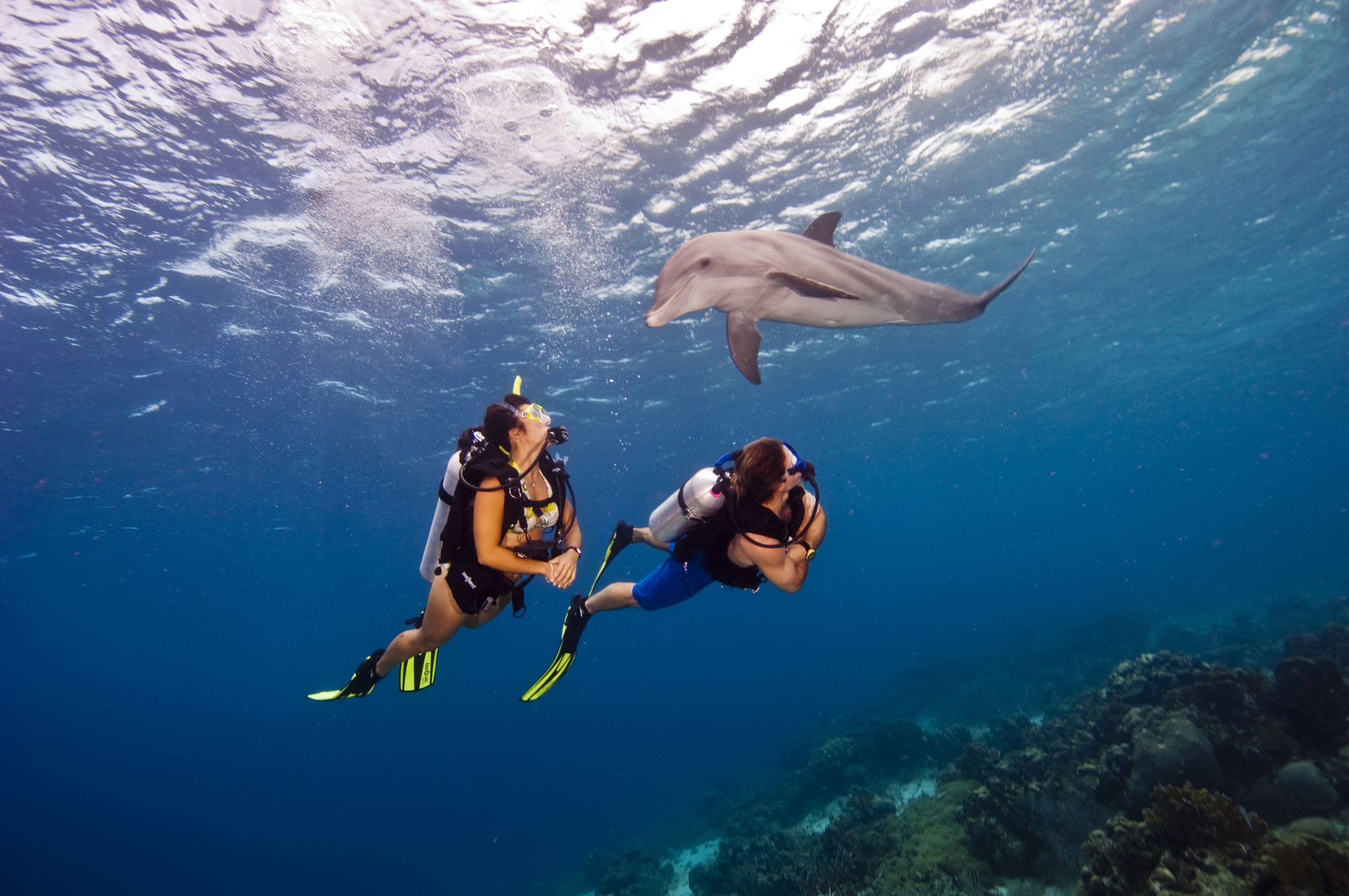 curacao-scuba-diving-sandals