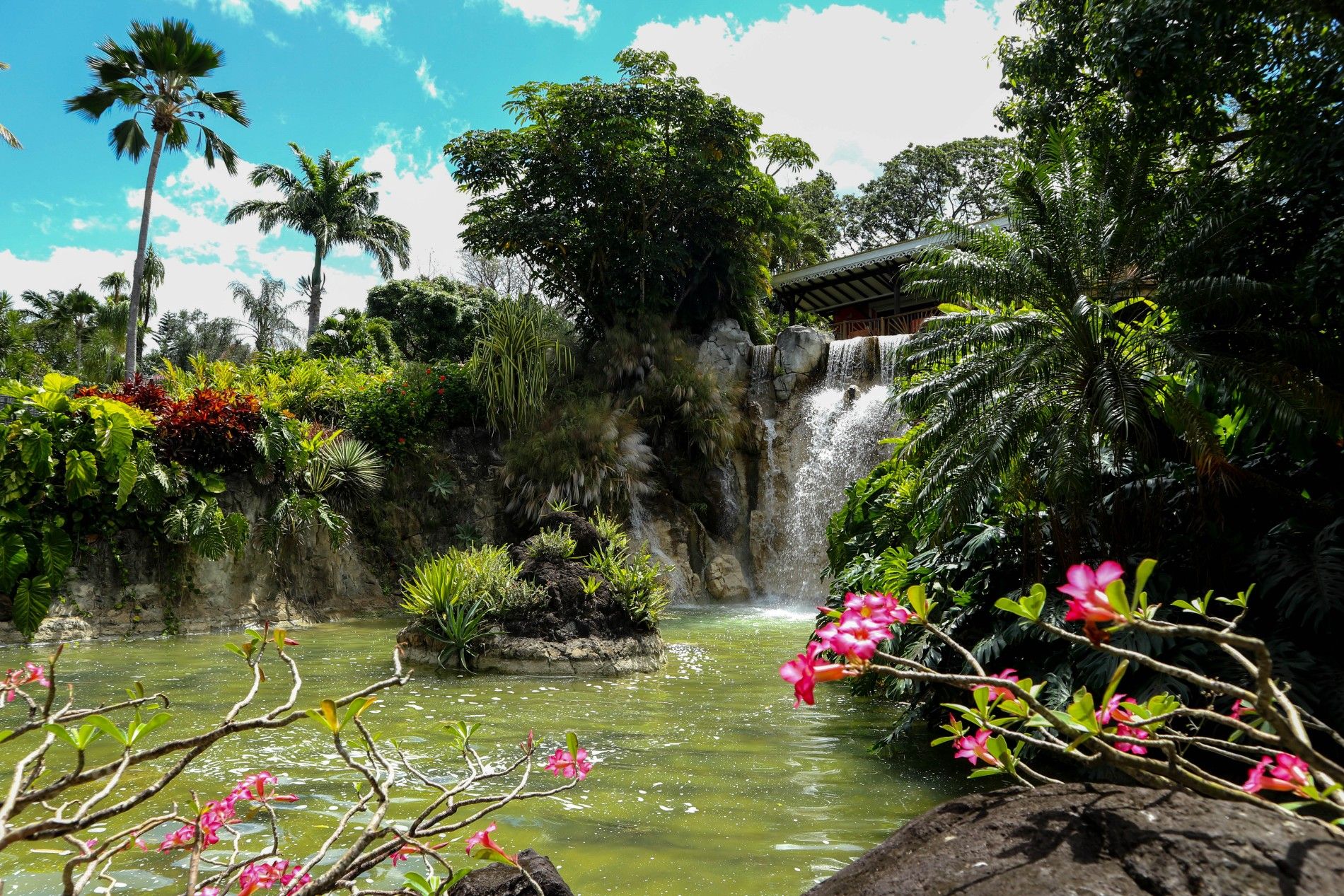 bahama-secret-garden-of-jardin-botanique-de-dashaies-kbardi-shutterstock_1598511625