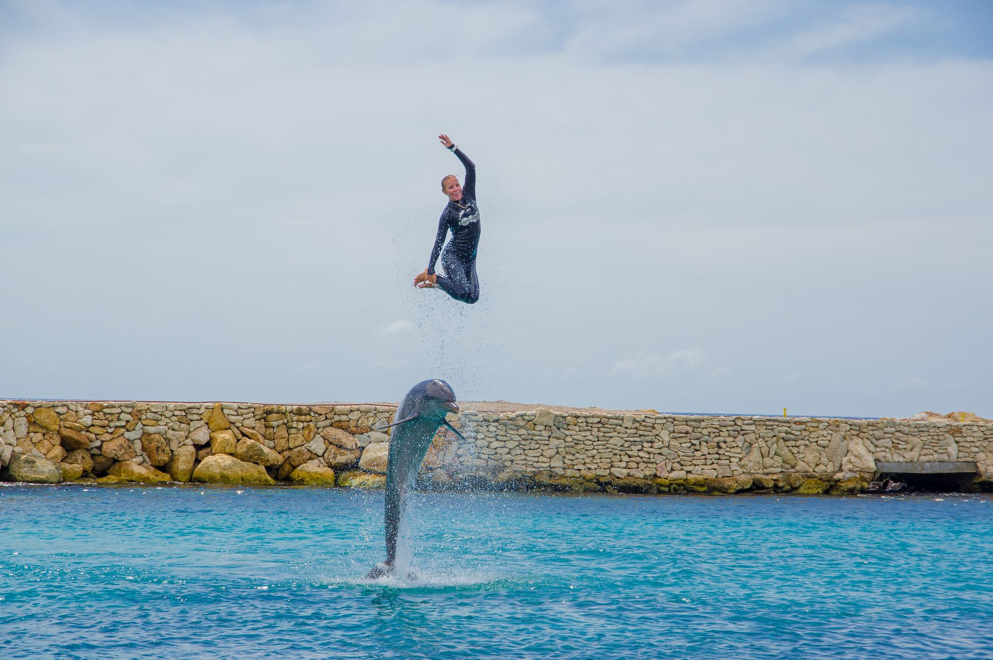 Curacao Sea Aquarium